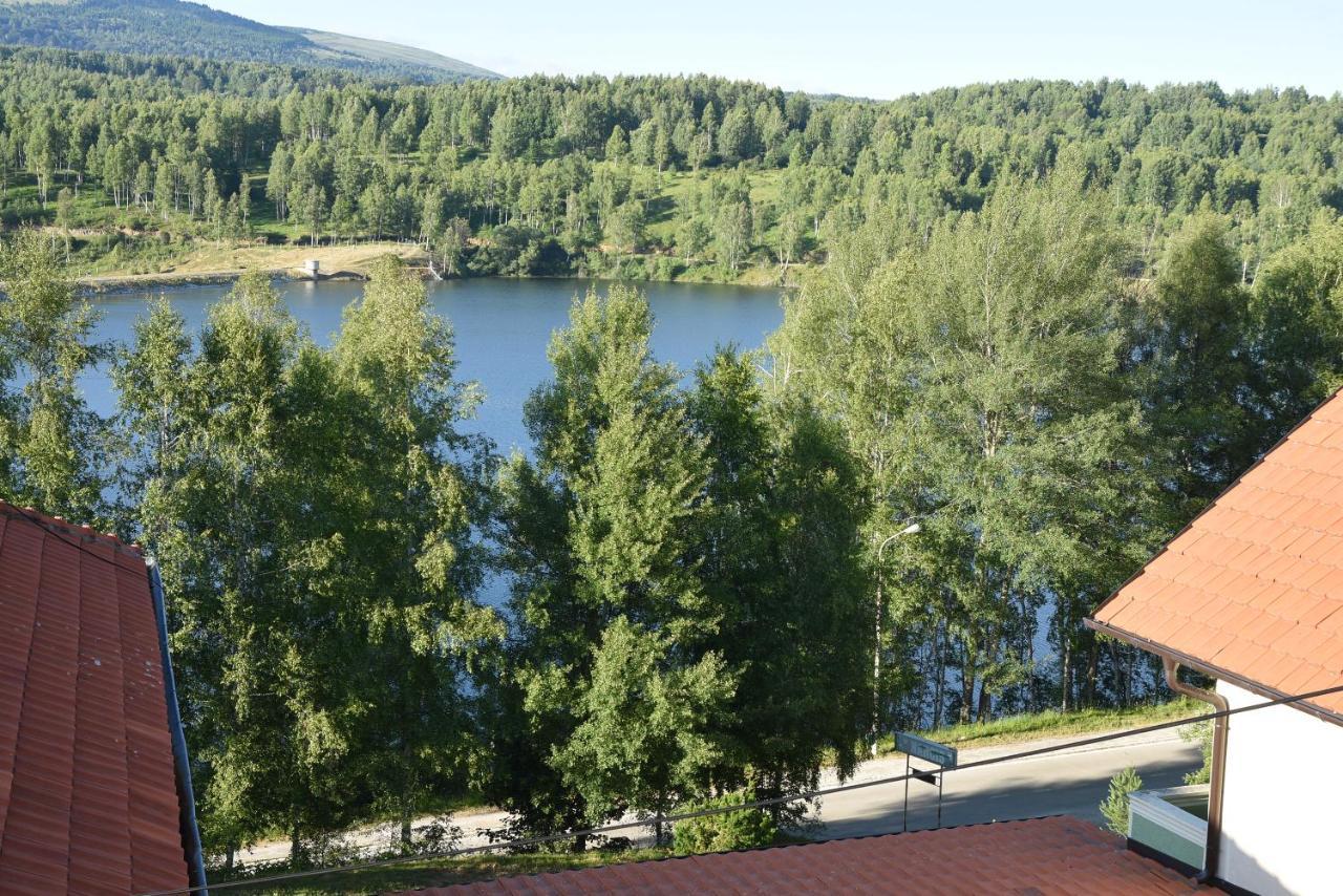 Mm Narcis Bed and Breakfast Vlasina Rid Exteriör bild